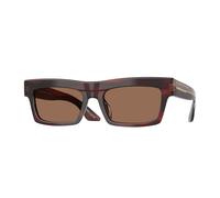 Oliver Peoples Mujer Oliver Peoples OV5607SU 1985C 167573 Gafas de sol Acetato Rojo Marrón Cuadrada Normal