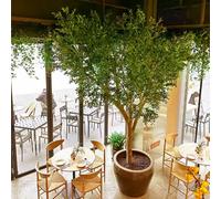 Olivo Artificial de imitación for decoración de Interiores y Exteriores, Fondo de Gran tamaño, de Suelo a Techo.(2.8m)