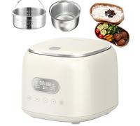 Olla arrocera con olla antiadherente, temporizador de mantenimiento caliente y retardo de 24 horas, capacidad de 2,5 litros, calentador de alimentos para cocinar arroz blanco, avena, sopa y gachas