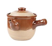 Olla de arcilla de cerámica para hervir hierbas medicinales, hervidor seguro para estufa con tapa, tetera de estilo chino de 3,5 L para uso doméstico y cocina