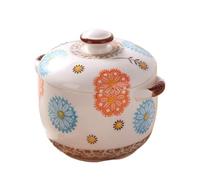 ollas de barro para cocinar, Cazuela, Olla for Sopa, de Hierro Fundido con Tapa for Horno, Cazuelas Pyrex, Juego(1000ml)