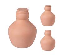 Ollas Riego Terracota Cerámica Autorriego 500 ml Juego de 3