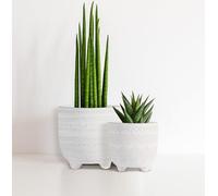 Olly & Rose Andaluz - Juego de macetas de cerámica de 2 a 16,5 cm, 11,5 cm, color blanco roto con patrón grabado, macetas medianas para exteriores e interiores, macetas blancas