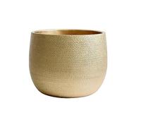 Olly & Rose Barcelona - Maceta de cerámica para interiores y exteriores (dorada, 25 cm)