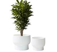 Olly & Rose Juego de 2 cuencos elevados XL de fibra de 35 cm + 30 cm, maceta extragrande, macetas de jardín en color blanco, macetas para exteriores e interiores