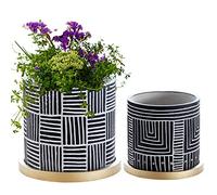 Olly & Rose Juego de 2 macetas Negras de diseño con platillos Dorados, macetas de cerámica para Interiores y Exteriores (Negro)