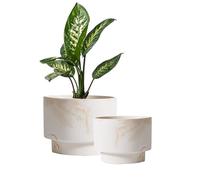 Olly & Rose Juego de macetas de cerámica blancas con rayas beige de 2 a 16,5 cm, macetas medianas para exteriores e interiores, macetas blancas