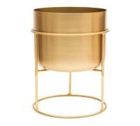 Olly & Rose Maceta de metal dorado cepillado con soporte pintado en oro, XL 35 cm, maceta grande para interiores, diseño contemporáneo, maceta decorativa de metal y soporte