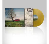 Olly - TUTTA VITA - LP GOLD (Sanremo 2025 - contiene Balorda nostalgia) [Vinilo]