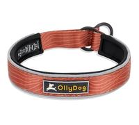 OllyDog Martingale - Collar Reflectante cómodo para Carreras nocturnas, Acolchado de Neopreno Suave, Comodidad Extra para Perros Activos (Grande, Grano de Madera Arcilla)