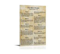 OLQEAAUF Government Classroom Poster, Constitution & Bill of Rights Infographic, School History or Law Office Wall Decor(Unframed,08X12inch(20X30cm))
