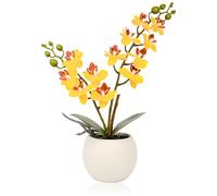 Olrla Flor de orquídea Artificial en Maceta para Interior, bonsái de imitación Phalaenopsis para decoración de hogar, Oficina, Fiesta, jardín (Amarillo)
