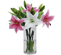 Olrla Flores Artificiales de imitación Lily 6 Ramos de Flores, Tacto Verdadero Falso Flor para el Banquete de Boda Inicio Tienda de decoración, arreglo Flora (Rosa y Blanco)