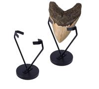 OLYCRAFT 2 juegos de soporte para dientes de tiburón Megalodon negro expositor de metal para dientes de tiburón soporte para dientes de tiburón con base extraíble para gemas, coral, geodas, rocas