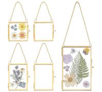 OLYCRAFT 5 marcos de cristal doble para flores prensadas para colgar en la pared, mini marcos para fotos, marco plegable de latón DIY para muestras de plantas, imágenes, pared casa