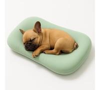 OLYGEE Medium Dog Bed for Medium Dogs, Washable Dog Cat Bed, Comfort Pet Couch Sofa with Washable Removable Cover, Pets Bed (Green,29.5" x 19.5" x 6")
