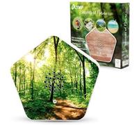 OLYMP Sounds of Nature Box | Sonidos Naturales para relajación y Tranquilidad | Soundbox con Canto de pájaros, susurro de Arroyos, prados de montaña, Sonido del mar | Caja de música con Sensor de