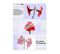 Olympia 9174 80 mic, DIN A3 Laminating Pouches - Pack of 50