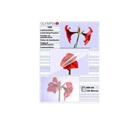 Olympia 9178 Laminating Pouches DIN A6 125 Micron 125 Micron DIN A6