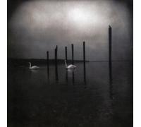 Om - Conference Of The Birds