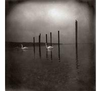 Om - Conference of the Birds [Vinilo]