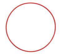 OM SYSTEM POL-058 Junta tÃ³rica para la carcasa subacuÃ¡tica PT-058/PT-059