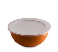 OMADA Design - Cuenco de cocina grande con tapa de 6,5 litros, antibacteriano, ligero, irrompible, apto para lavavajillas, línea Sanaliving