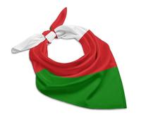 Oman Flag Soft Imitated Silk Neck Scarf Multi-Purpose Head Hair Wrap Wrist Handkerchief Bag Decor Kerchief For Daily Wear(25"x25")