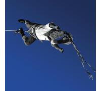 Omar Rodriguez-Lopez Ensayo De Un Desaparecido (Vinyl) (Importación USA)