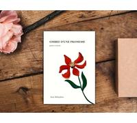 Ombre d'une Promesse