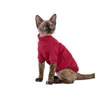 OMEM Camiseta de gato de lunares para Sphynx Devon Rex, 12 colores de algodón de manga larga, cuello alto, traje básico de otoño e invierno para gatos sin pelo, camiseta cálida para uso diario XS a