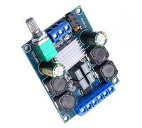 omiinitio XY502 Módulo Amplificador de Potencia Digital TPA3116D2 Doble Canal 50WX2 Protección de Sobrecarga para Coteatro Auditivo Módulo de Distribución Auditiva