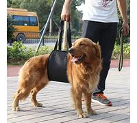 Omquot Arnés de Soporte para Elevación de Perros Negro para Perros con Movilidad Limitada, Ayuda de Rehabilitación para Suave y Cómoda para Lesiones, Artritis y Problemas Ortopédicos, Hecho de (SG)