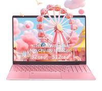 OMSERVB Laptop rosa de 15.6 pulgadas, 12ª generación N95 (hasta 3.4 GHz), DDR4 32G RAM, SSD NVME de 512 GB, Windows 11 Pro y Office 2019, bloqueo de huellas dactilares, PC portátil con KB