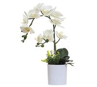 Omygarden Flores Artificiales de orquídea Blanca en Maceta, Flores de orquídea de plástico Falsas, decoración para el hogar, Oficina, Boda (2 Ramos Blancos)