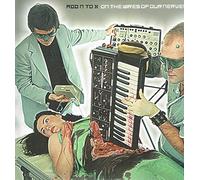 On the Wires of Our Nerves [Vinilo]