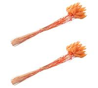 Onchdbfhuu 120 Piezas de Flores Secas de Otoño Colas de Conejo Flores Secas Lagurus Ovatus Hierba de de Conejo para Flores Secas (Naranja)
