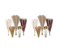 Onchdbfhuu 240 Piezas de Decoración de Ramo de Hierba de Pampa , Arreglos de Fiesta de Boda de Habitación de Hogar Bohemio, Paquetes de Flores Secas de Otoño Alto una Granel