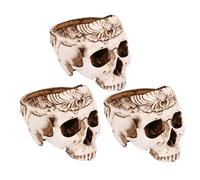 Onchdbfhuu 3X Maceta de Resina con Forma de Calavera, Maceta para Flores y Suculentas, Maceta con Esqueleto Tallado, Maceta para Cactus de AzúCar, Soporte para Macetas, Cuenco para Dulces