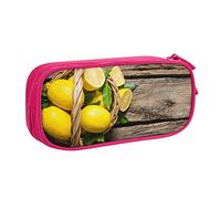 One Basket Lemons - Estuche grande para lápices con 2 compartimentos, estuche para lápices, organizador para niñas, niños, estudiantes, escuela de, color, 5.0cm*10.5cm*20.5cm, Estuche para lápices