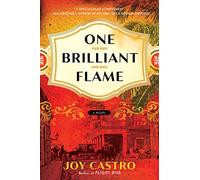One Brilliant Flame: A Novel