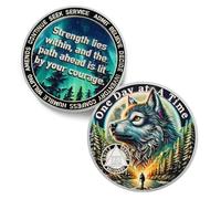 One Day At a Time - Moneda de sobriedad de 29 años - Monedas AA de recuperación triangular de lobo del bosque - Fichas y medallones de adicción NA AA - Celebra 1-30 narcóticos limpios y alcohólicos