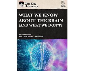 One Day University: What We Know About the Brain (And What We Don't) [USA] [DVD]