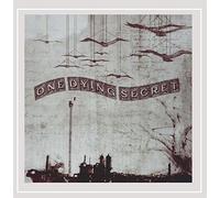 One Dying Secret - A Moment of Truth for a Years Worth of Lies