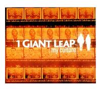 One Giant Leap - My Culture