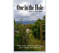 One in the Hole (Volume 4)