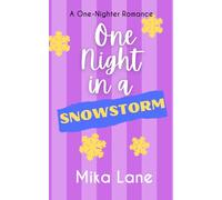 One Night in a Snowstorm: A One-Nighter Reverse Harem Romance