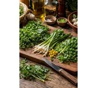 One Pan Forager: Simple Meals with One Pot, One Pan, and What You Can Find (Homesteading Harvest)