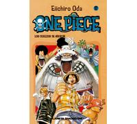 One Piece 17