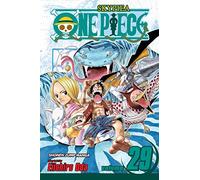 One Piece 29 [Idioma Inglés]